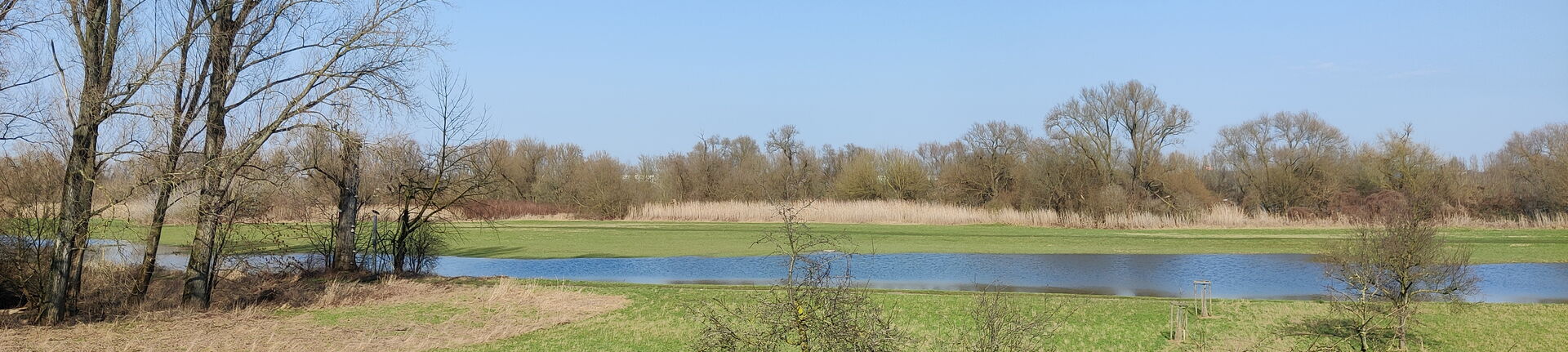 Rheinufer Februar 2026 - Zwischen Köln und Dormagen